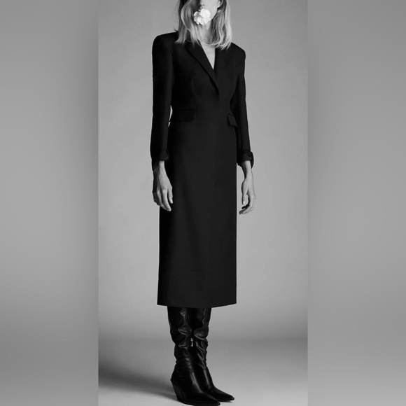 NWT - Zara Women’s Limited Edition Wool Blended Coat Dress - Size L - Picture 2 of 13